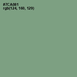 #7CA081 - Bay Leaf Color Image