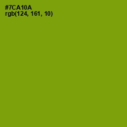 #7CA10A - Christi Color Image