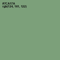 #7CA17A - Fern Color Image