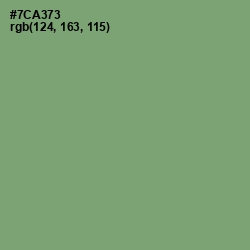 #7CA373 - Fern Color Image