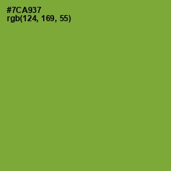 #7CA937 - Wasabi Color Image