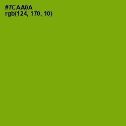 #7CAA0A - Christi Color Image