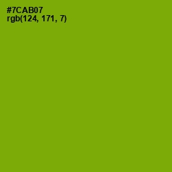 #7CAB07 - Christi Color Image