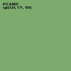 #7CAB6D - Fern Color Image