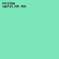 #7CE5BA - De York Color Image