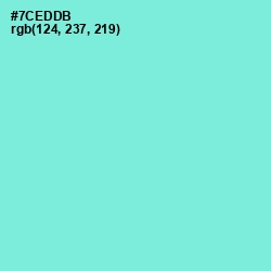 #7CEDDB - Aquamarine Color Image