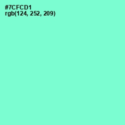 #7CFCD1 - Aquamarine Color Image