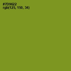 #7D9622 - Wasabi Color Image