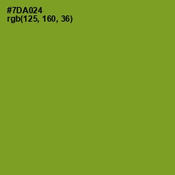 #7DA024 - Wasabi Color Image