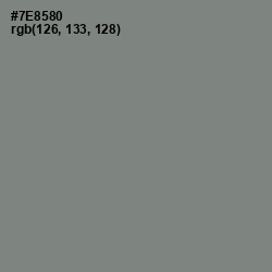 #7E8580 - Blue Smoke Color Image