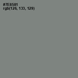 #7E8581 - Blue Smoke Color Image