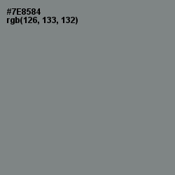 #7E8584 - Blue Smoke Color Image