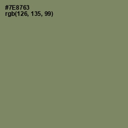 #7E8763 - Flax Smoke Color Image