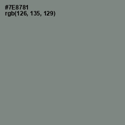 #7E8781 - Blue Smoke Color Image