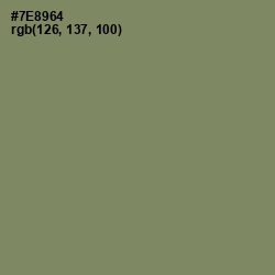 #7E8964 - Flax Smoke Color Image