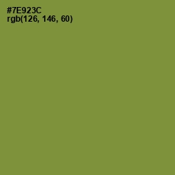 #7E923C - Wasabi Color Image