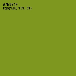 #7E971F - Trendy Green Color Image