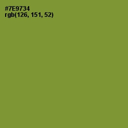 #7E9734 - Wasabi Color Image