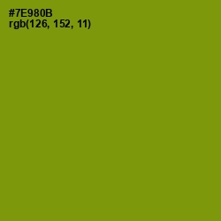 #7E980B - Limeade Color Image