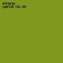 #7E981D - Trendy Green Color Image