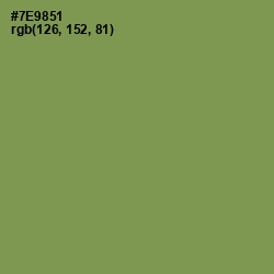 #7E9851 - Glade Green Color Image