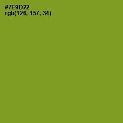 #7E9D22 - Wasabi Color Image