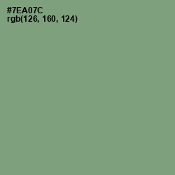 #7EA07C - Fern Color Image