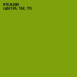 #7EA20B - Christi Color Image