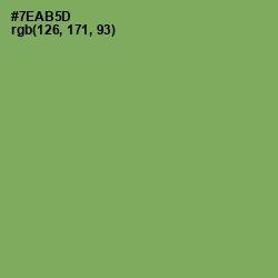 #7EAB5D - Asparagus Color Image