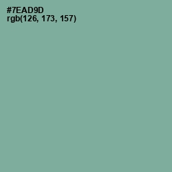 #7EAD9D - Sea Nymph Color Image