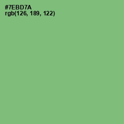 #7EBD7A - Fern Color Image