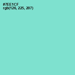 #7EE1CF - Aquamarine Color Image