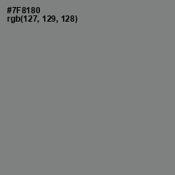 #7F8180 - Blue Smoke Color Image