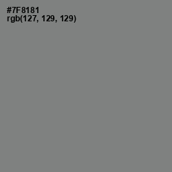#7F8181 - Blue Smoke Color Image