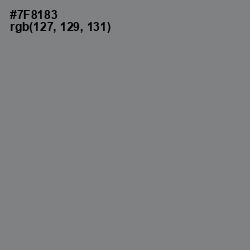 #7F8183 - Blue Smoke Color Image