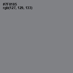 #7F8185 - Blue Smoke Color Image