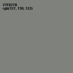 #7F827A - Xanadu Color Image