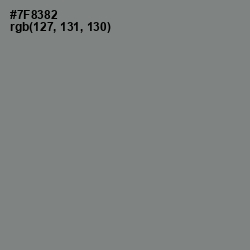 #7F8382 - Blue Smoke Color Image