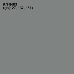 #7F8483 - Blue Smoke Color Image