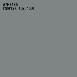 #7F8485 - Blue Smoke Color Image