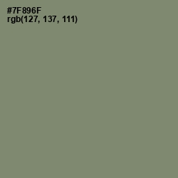 #7F896F - Camouflage Green Color Image