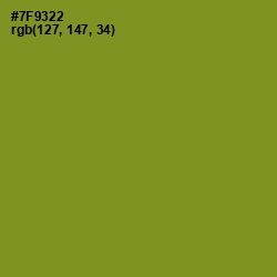 #7F9322 - Wasabi Color Image