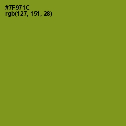 #7F971C - Trendy Green Color Image