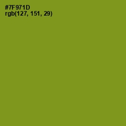 #7F971D - Trendy Green Color Image