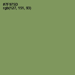 #7F975D - Glade Green Color Image