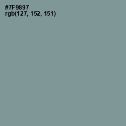 #7F9897 - Juniper Color Image