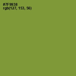 #7F9938 - Wasabi Color Image