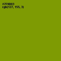 #7F9B03 - Limeade Color Image