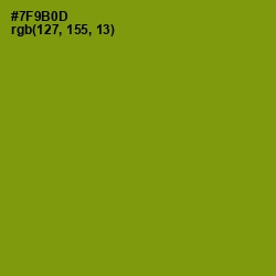 #7F9B0D - Limeade Color Image