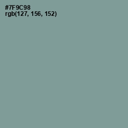 #7F9C98 - Oxley Color Image